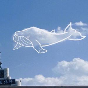 大肉大捧一出一进免费视频
